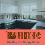 Window - Kitchen