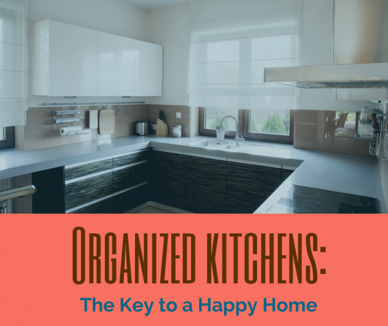 Window - Kitchen