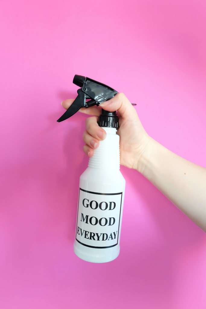 clean your house fast, speed cleaning